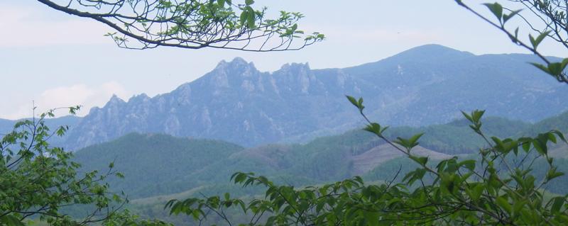 左に瑞牆山右に小川山が見える