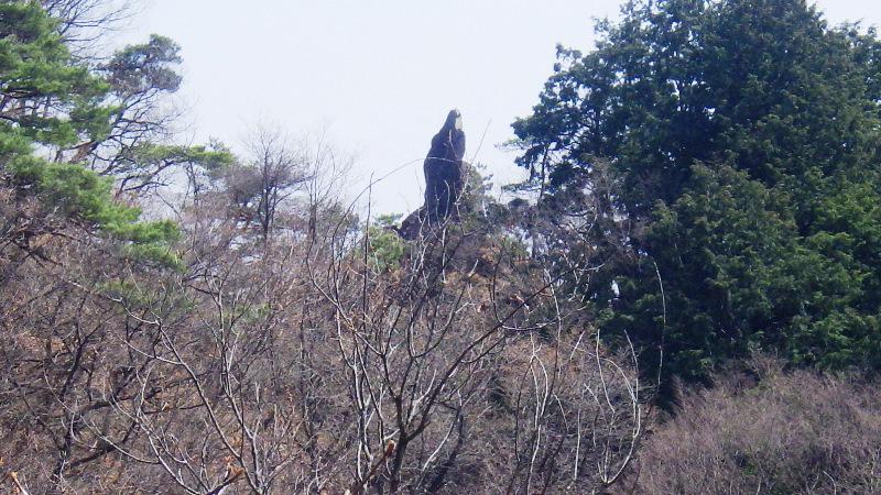 釈迦岩展望地からお釈迦様の形の岩が見える