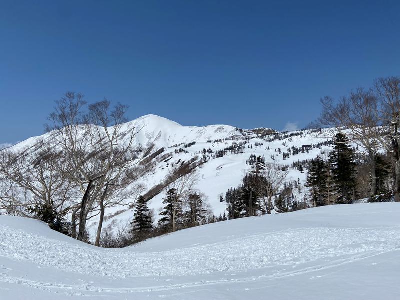 富士見平から火打山