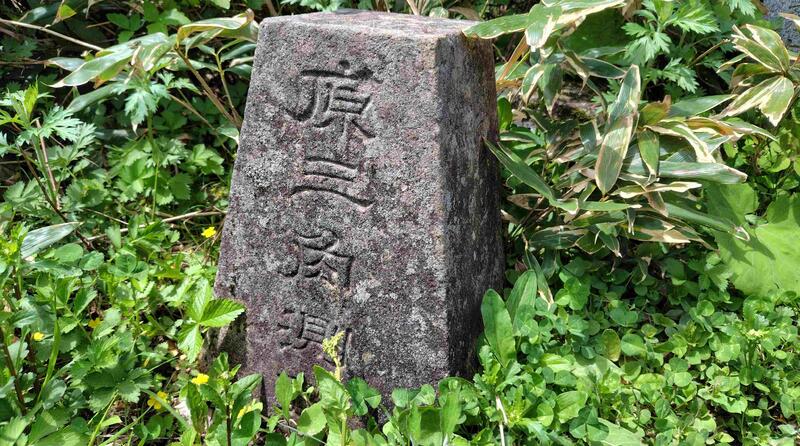 薬師様の前の草に埋もれた源三角点