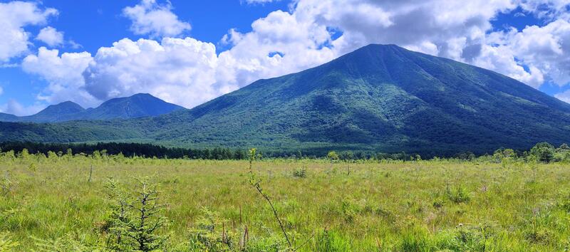 戦場ヶ原から太郎山