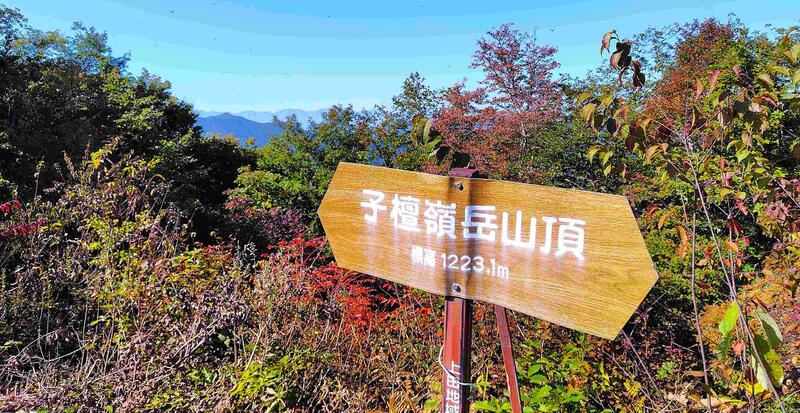 北アルプスを展望する山頂