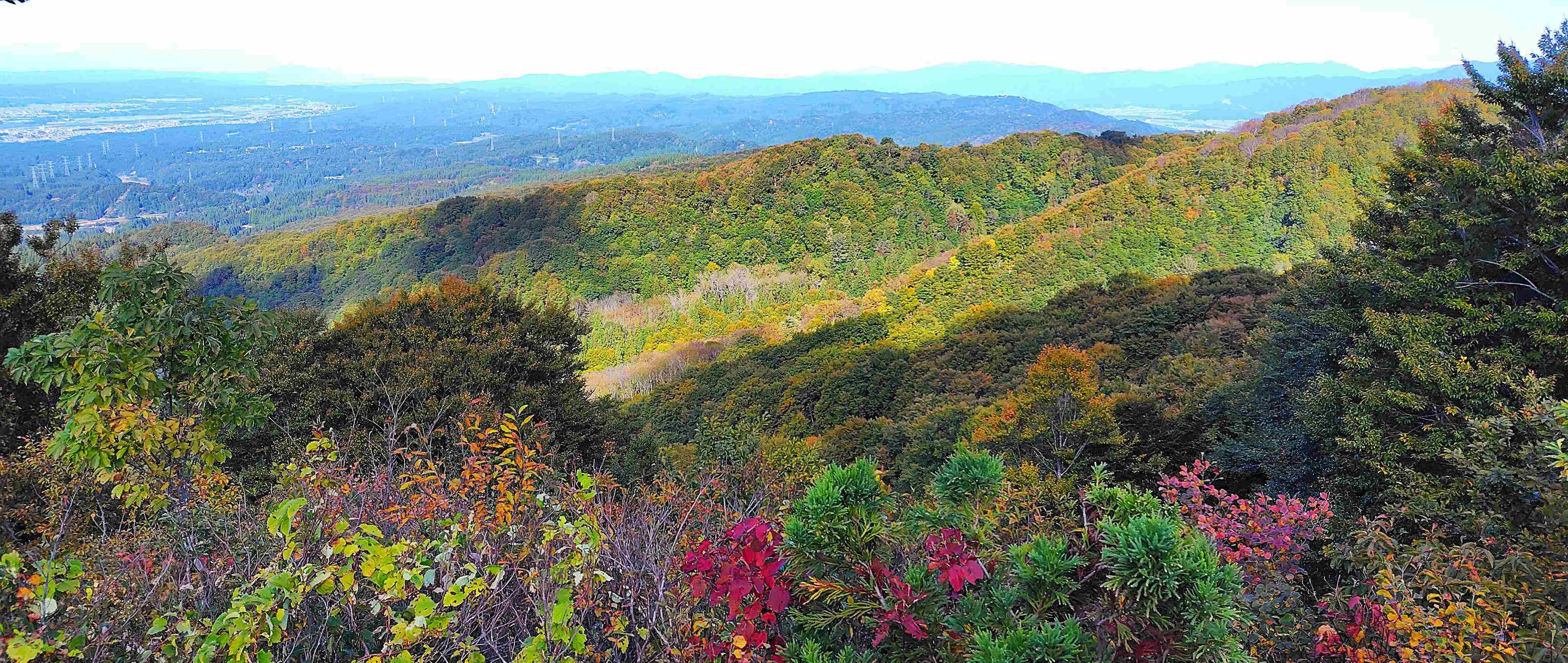 当間山見晴台から