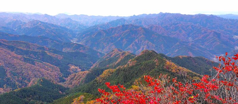 小沢岳山頂から北アルプス方面を望む