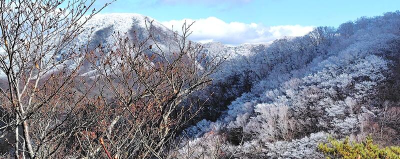 雪化粧の地蔵岳・黒檜山