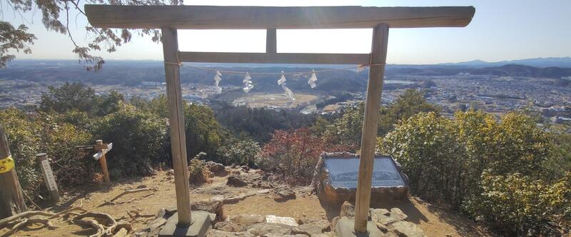金比羅神社の鳥居越しに巾着田