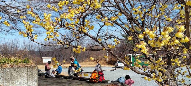 ロウバイの花となべを楽しむ