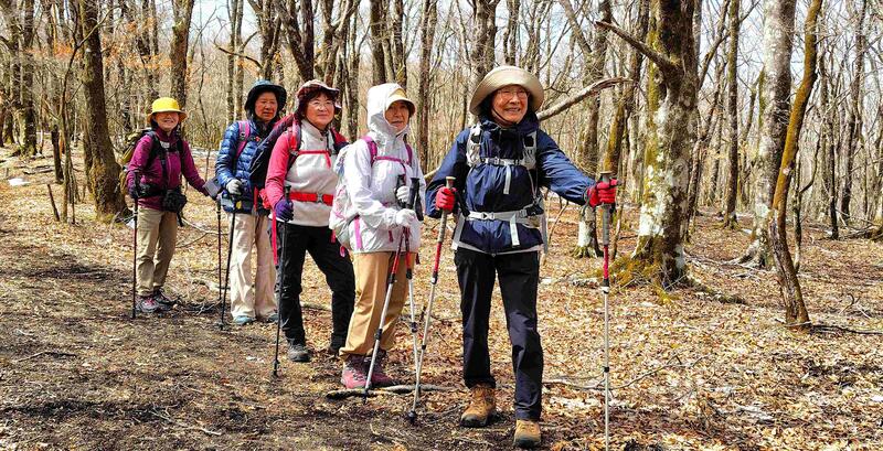 明るいブナ林の稜線