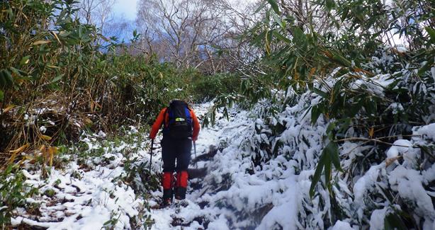 新雪の登山道