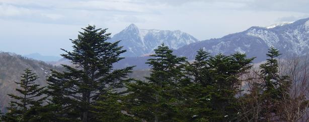 雨飾山が見えた