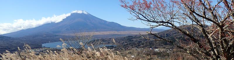 高指山の途中から富士山をみる